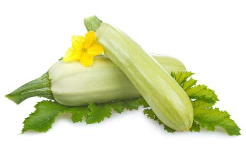 Кабачки (голландія)