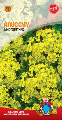 АЛИССУМ желтый (многолетний)