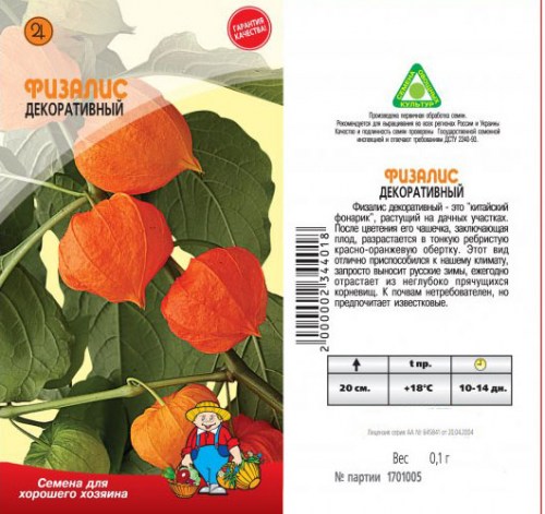 ФИЗАЛИС декоративный
