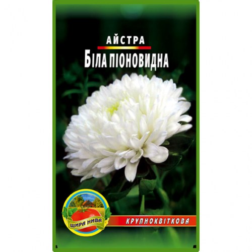 Астра піоноподібна Біла