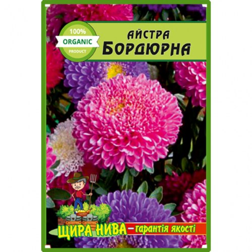 Астра Бордюрна низькоросла