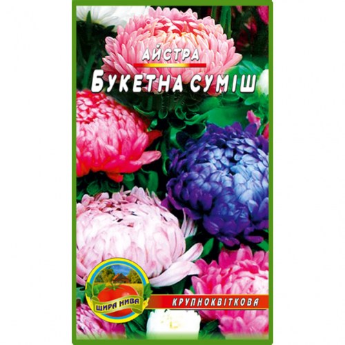 Астра Букетная
