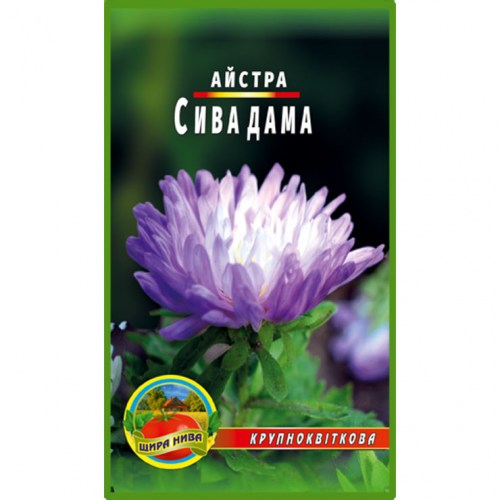 Астра Сива дама