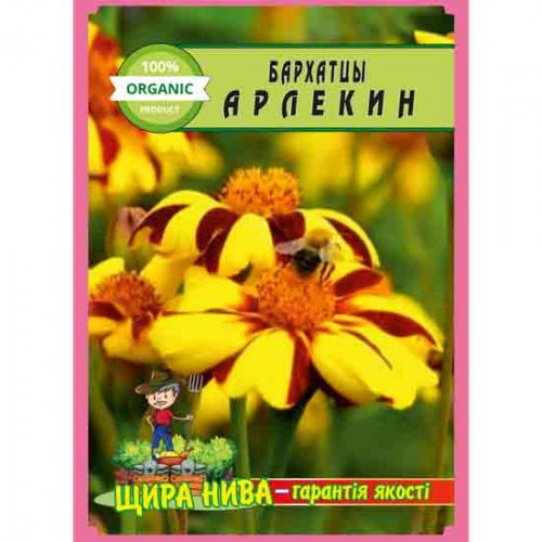 Чорнобривці Арлекин