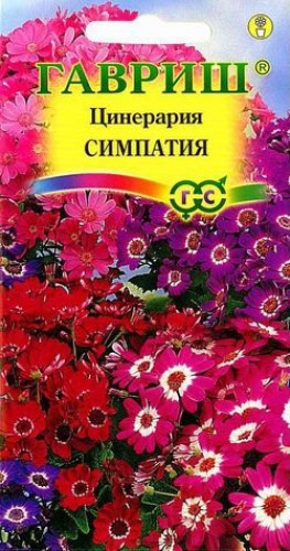 ЦИНЕРАРИЯ ЦВЕТУЩАЯ ГИБРИДНАЯ СИМПАТИЯ 10ШТ