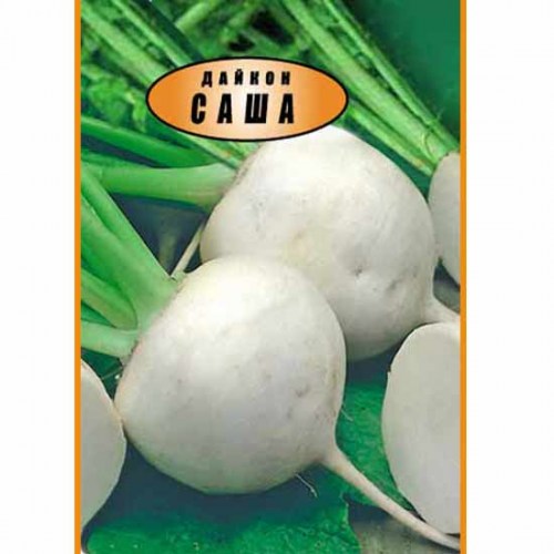 Дайкон Саша