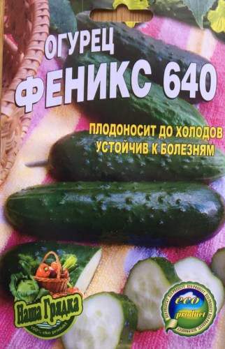 Огурец Феникс 640