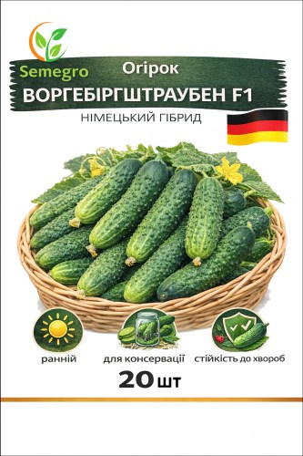 fonramka