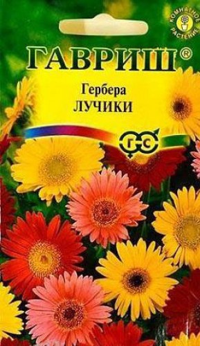 ГЕРБЕРА ЛУЧИКИ 0,05Г