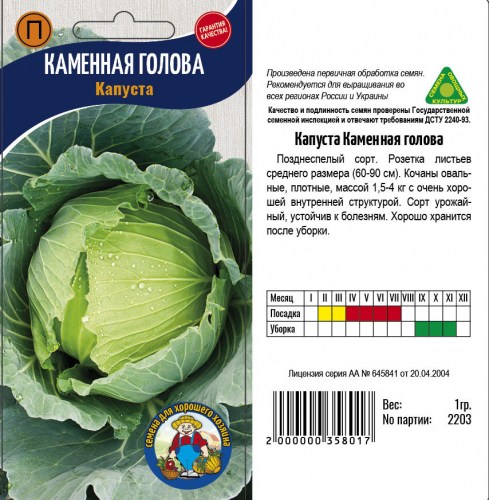 капуста каменная голова