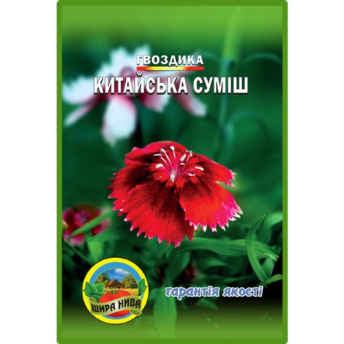 Гвоздика Китайська суміш