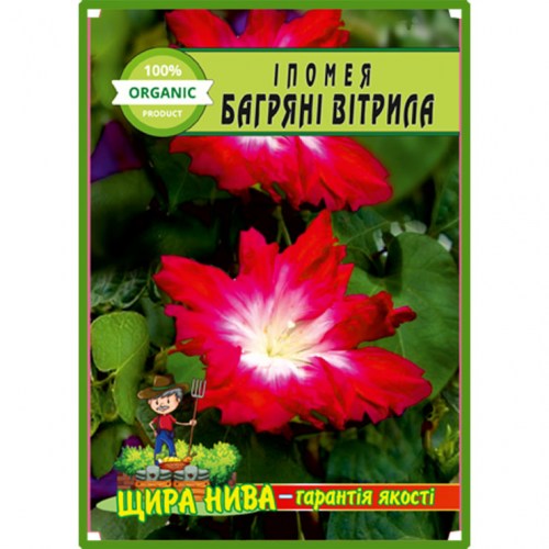 ipomeia-bahriani-vytryla