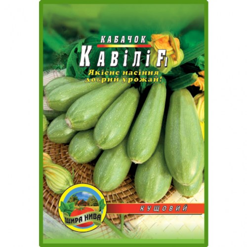 Кабачок Кавили