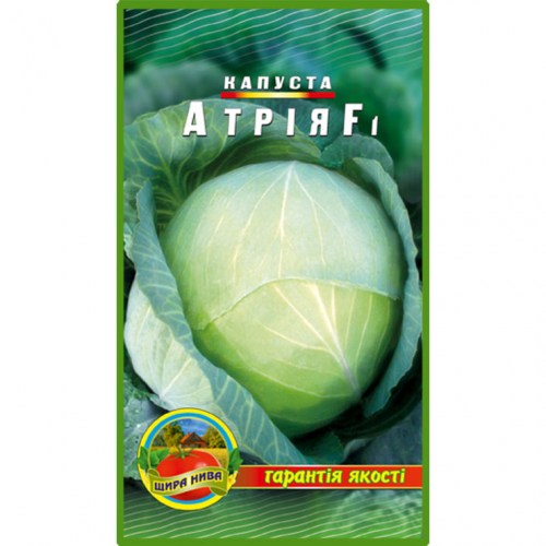 Капуста Атрія F1