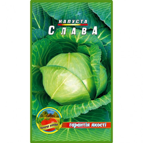 Капуста Слава