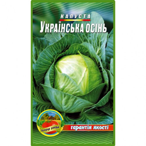 kapusta-ukrainska-osin