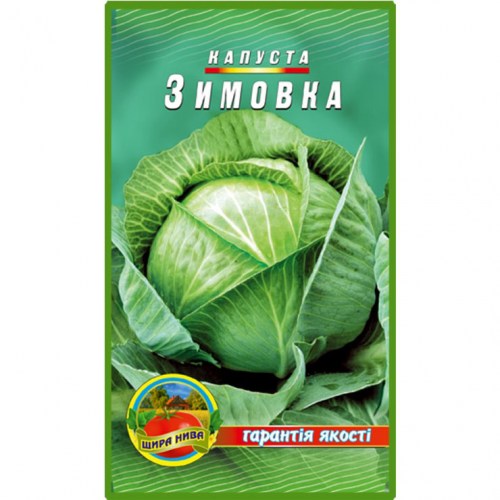 Капуста Зимовка