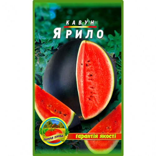 kavun-iarylo-shchyra-nyva