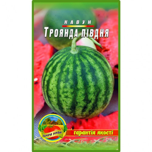 Арбуз Роза Юго-востока