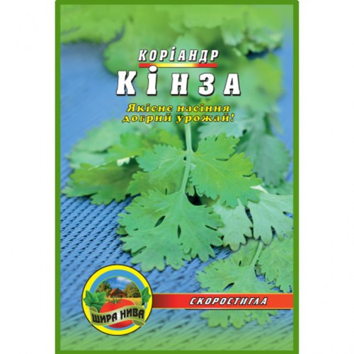 Кінза