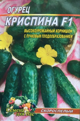 Огурец Криспина F1
