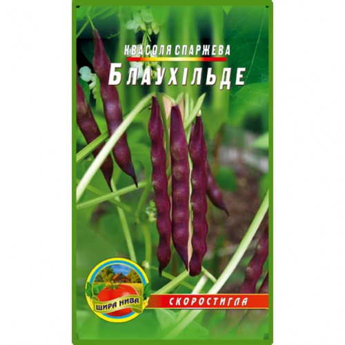 Квасоля Блаухільде