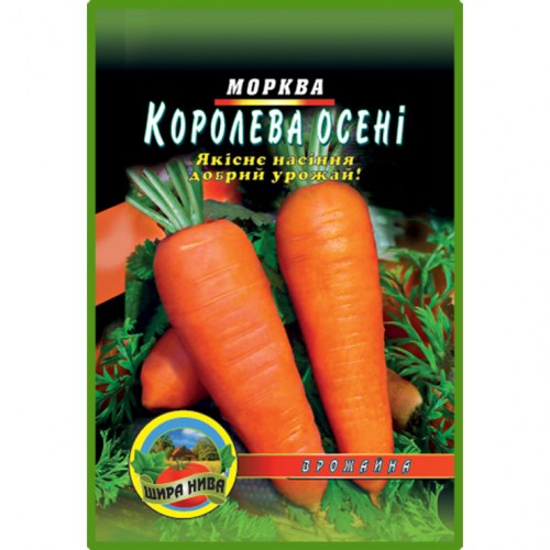 Морква Королева осені