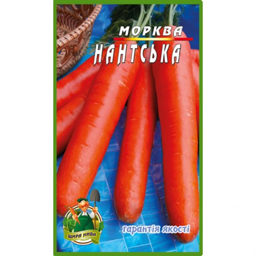 Морковь Нантская