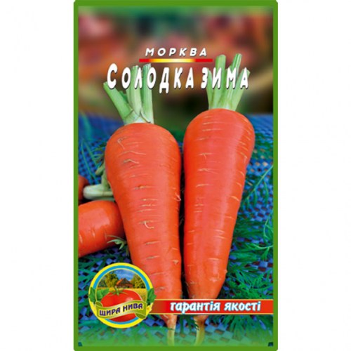 Морква Солодка Зима