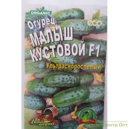 Огурец  Малыш кустовой F1
