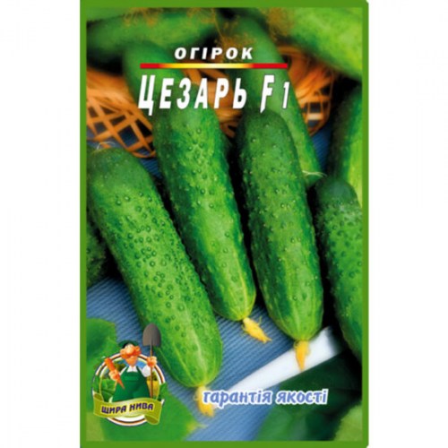 Огірок Цезар F1 - 30шт