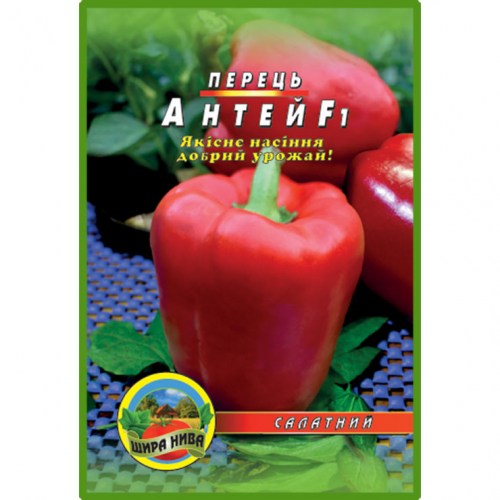 Перець Антей