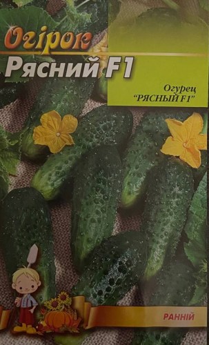 ryasnij9