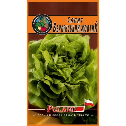 Салат Берлінський жовтий (Польша)