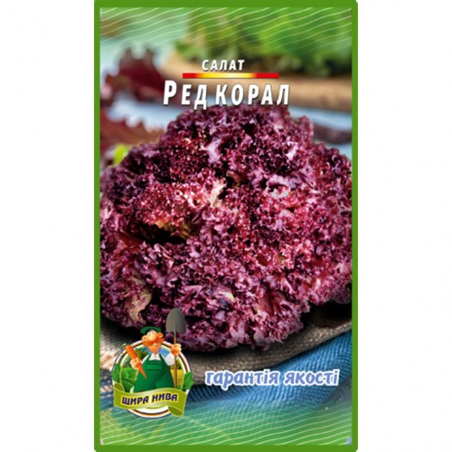 Салат Ред Колар (Польша)