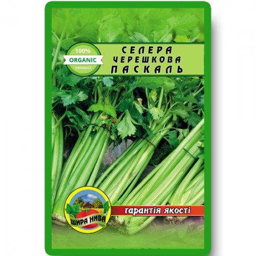 Селера Чершкова Паскаль
