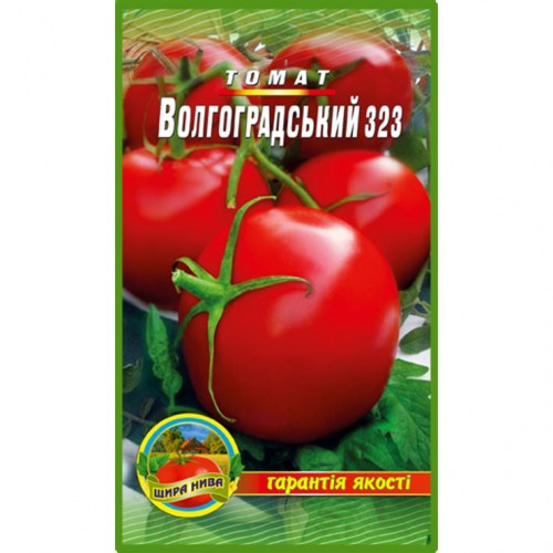 Томат Волгоградскьий 323