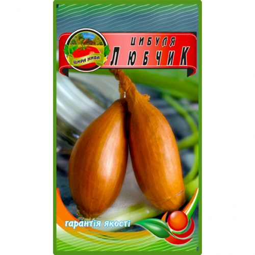Цибуля Любчик