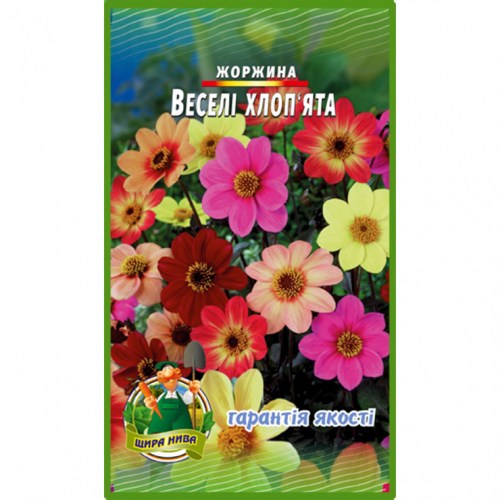 Жоржина Веселі хлопці