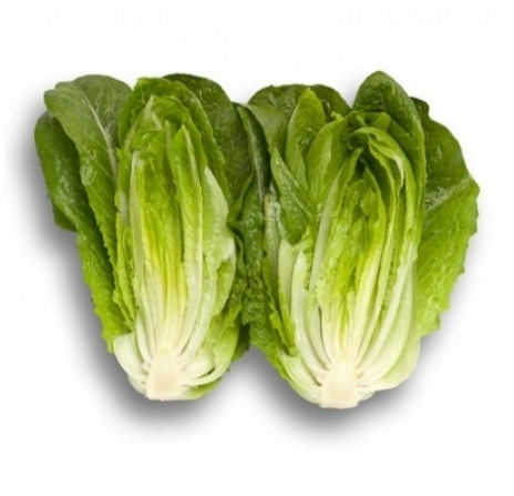 vessalat